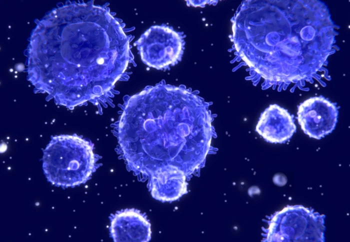 T-cell-immune 3.webp